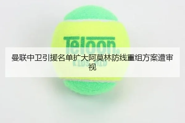 曼联中卫引援名单扩大阿莫林防线重组方案遭审视 - KaiyuanGames